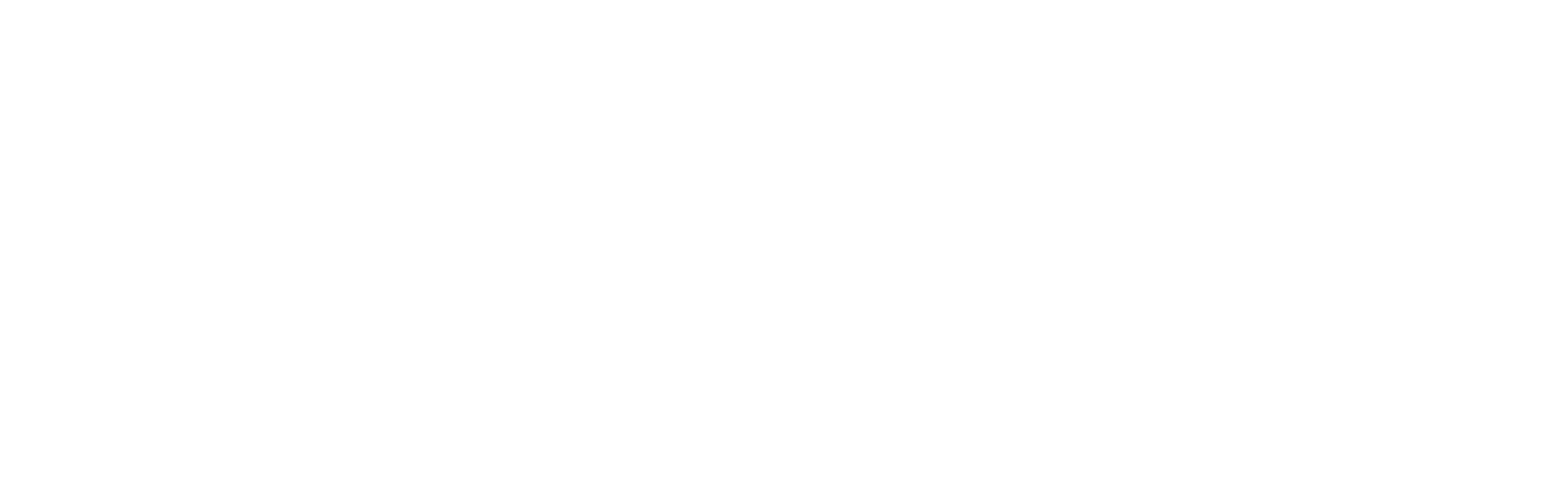 Safer Schools NI white logo