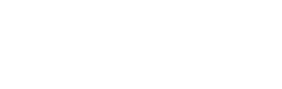 Safer Schools NI Logo