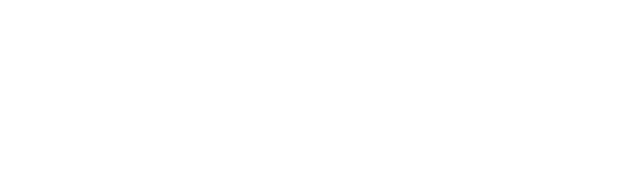 Safer Schools NI logo white